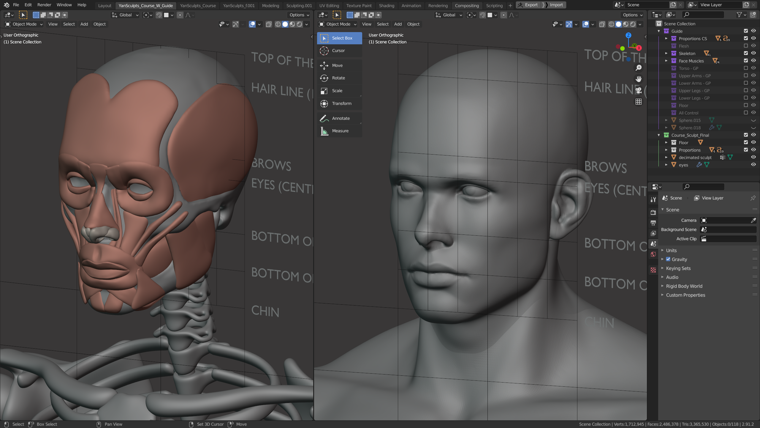 Sculpt Model Definition At Gilbert Abernathy Blog