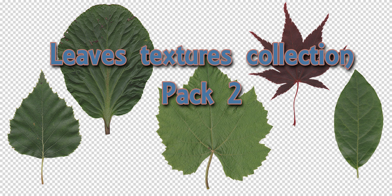 Leaves textures collection Pack 2 Blender Market