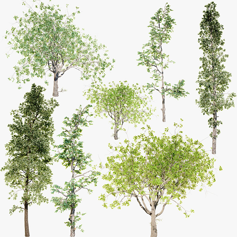 Trees Pack 2D Blender Market Trees Pack 2D Blender Market