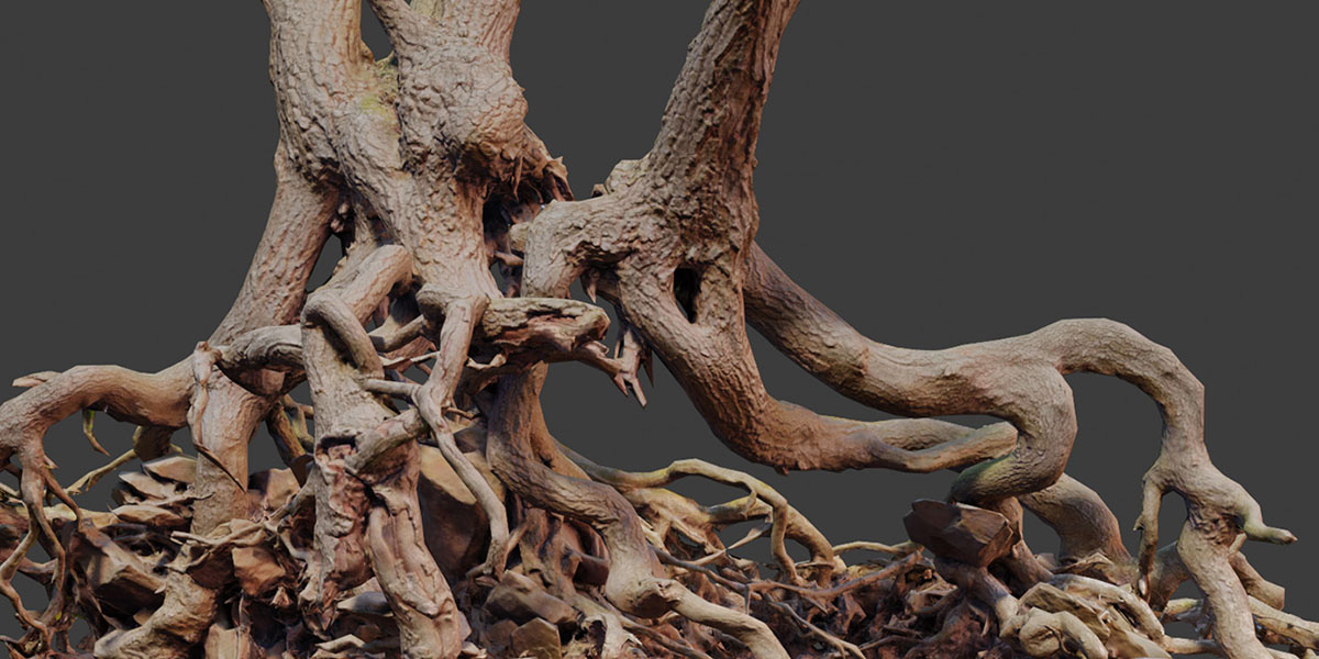 Blender Roots Tree Roots - Blender Market