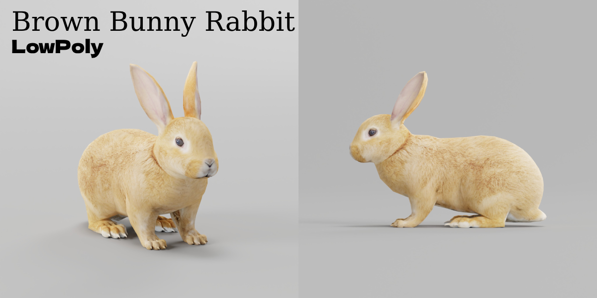 Brown Bunny Rabbit - Blender Market