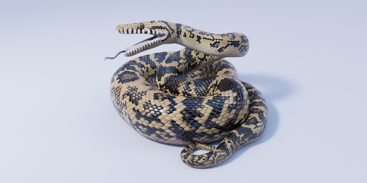 Scrub Python - Animated - Blender Market