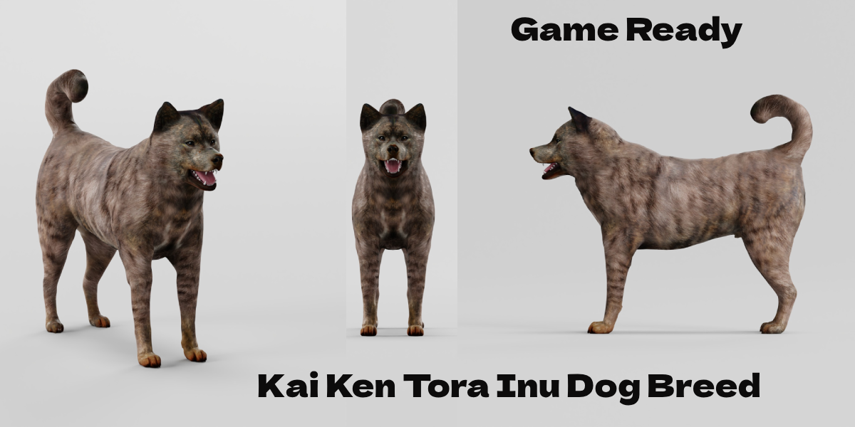 Tora inu deals