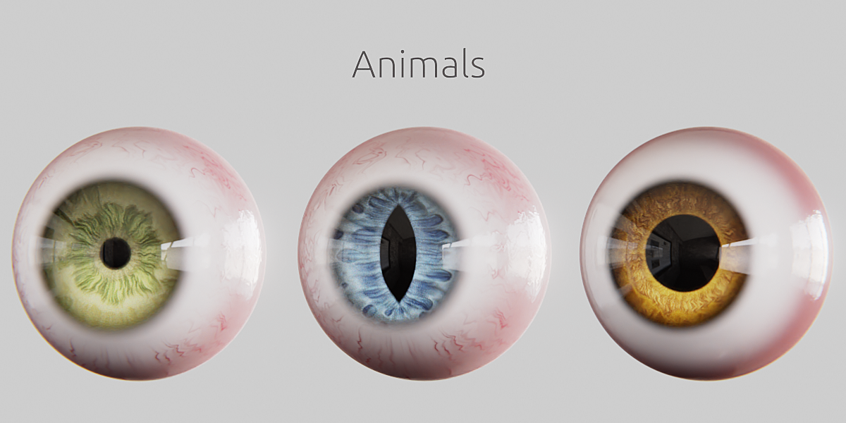 Eye Normal Map 4k Eye Texture Map