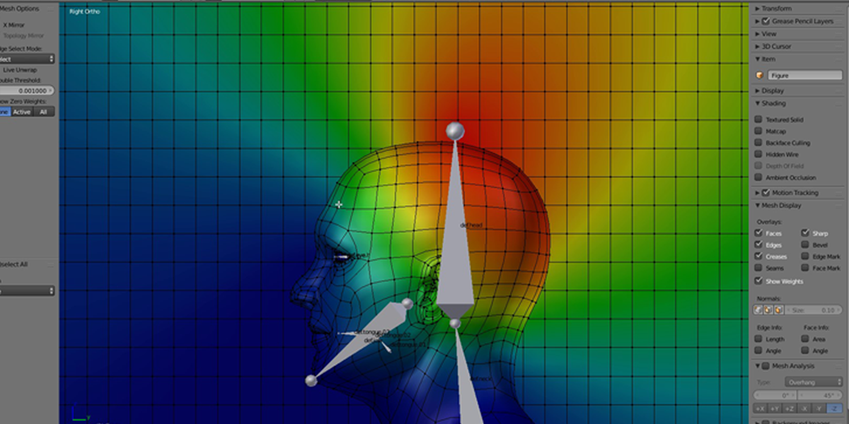 Blender Character Rigging For Beginners HD by Riven Phoenix Blender