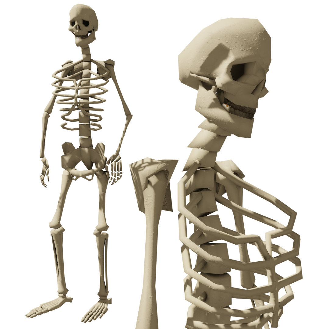 Rigged Human Skeleton Animated Blender Market
