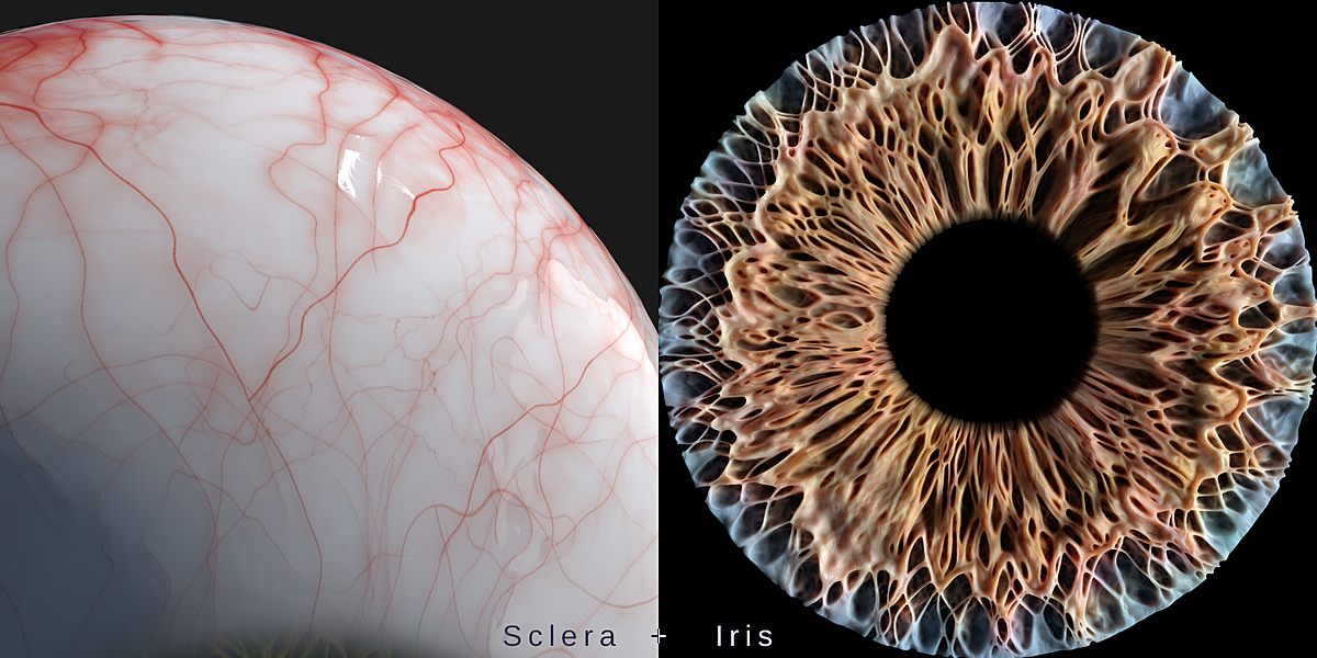 Photorealistic eye generator Blender Market