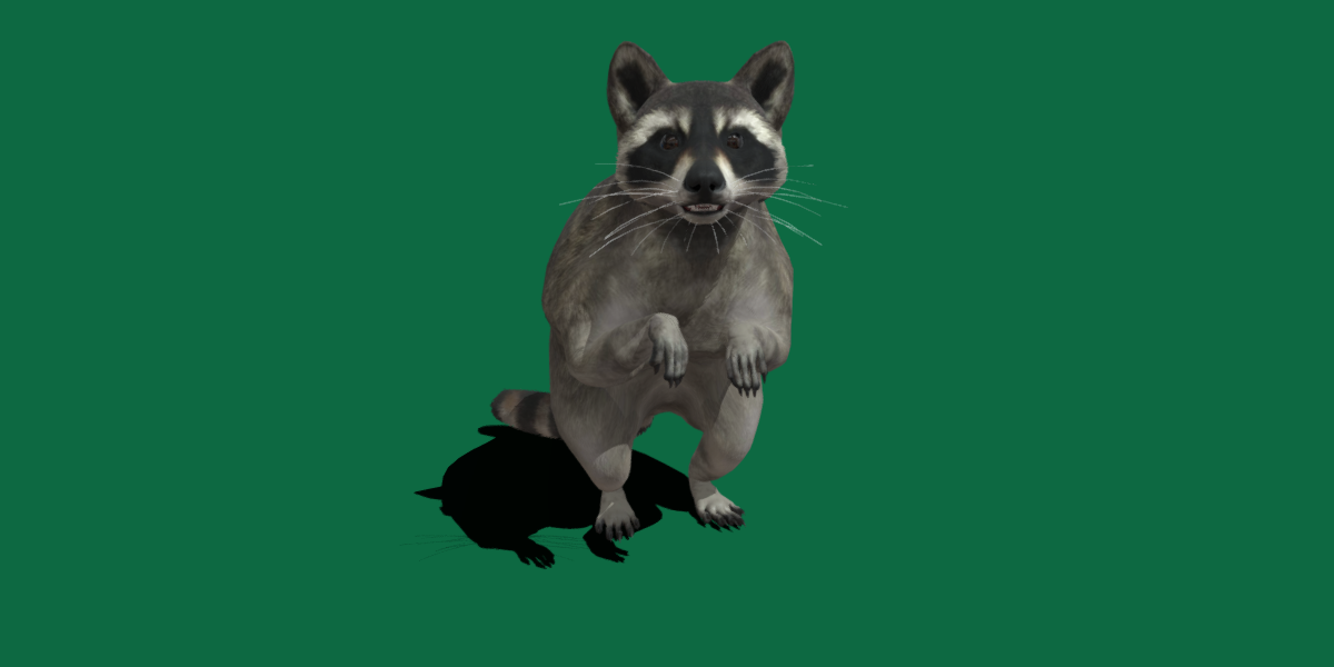 Raccoon - Blender Market
