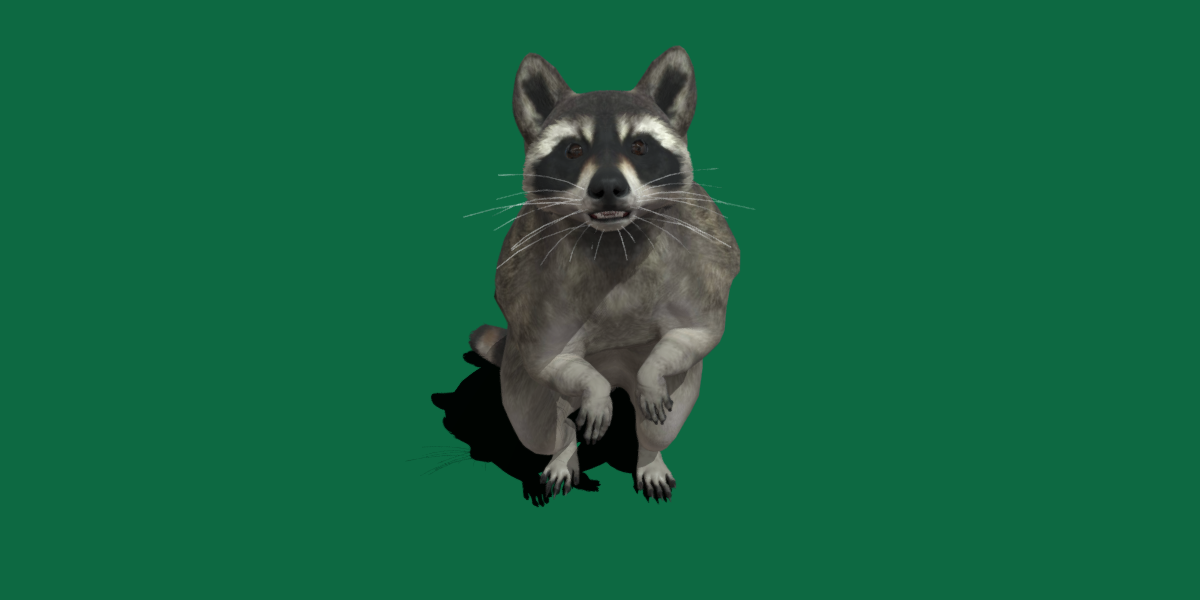 Raccoon - Blender Market