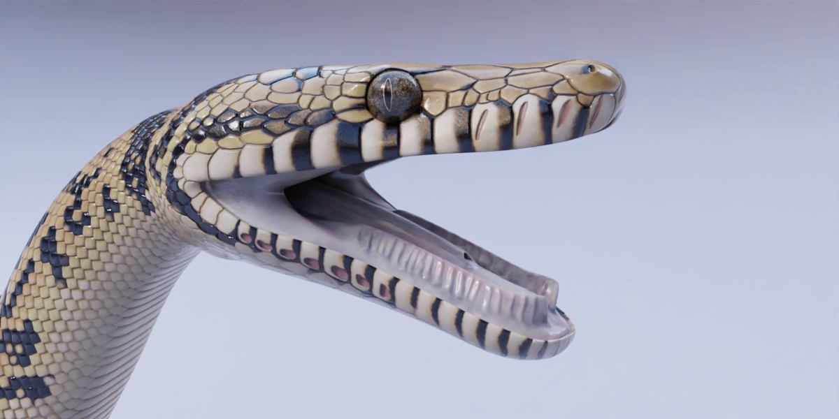 Scrub Python - Animated - Blender Market