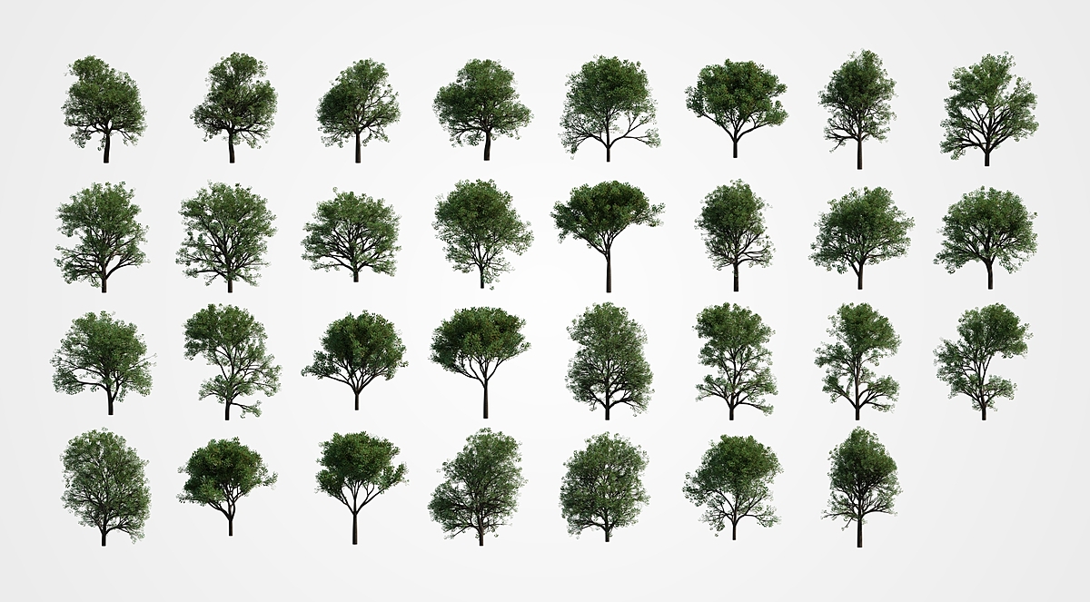 31 Trees Alpha png Blender Market