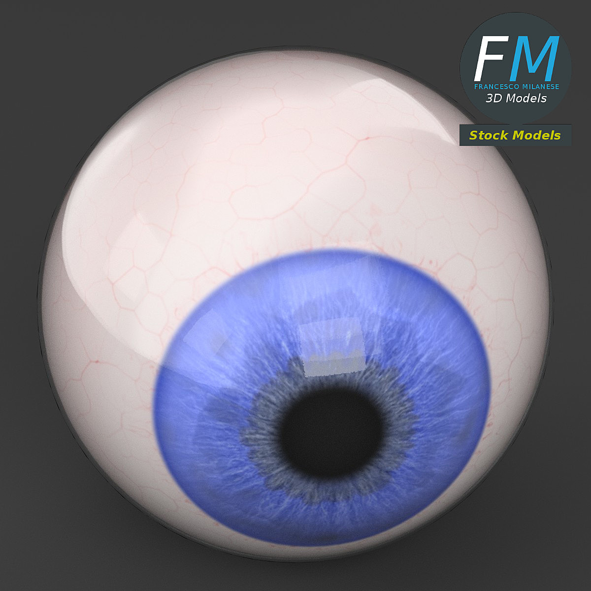 Human eyeball Blender Market