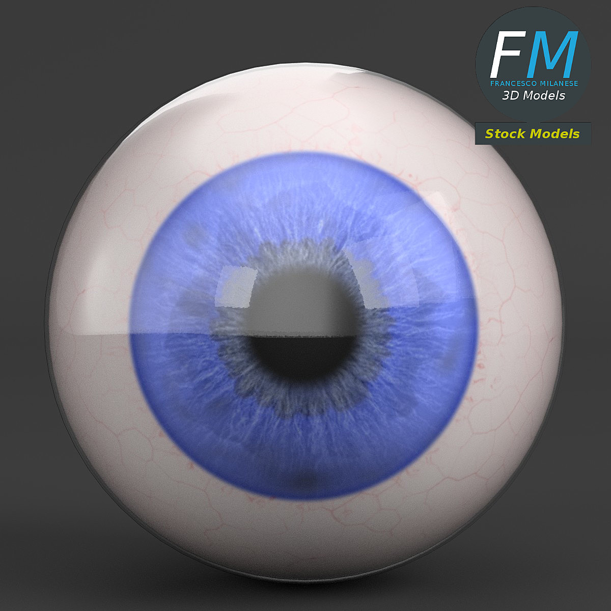 Human eyeball Blender Market