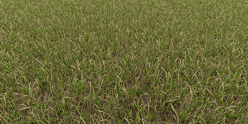 Pro Grass for Blender Cycles and EEVEE - Blender Market
