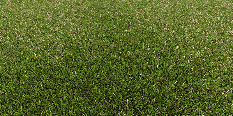Pro Grass for Blender Cycles and EEVEE - Blender Market