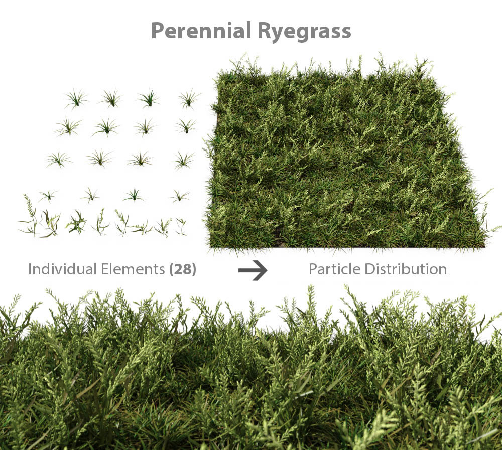 The Grass Essentials Blender Market