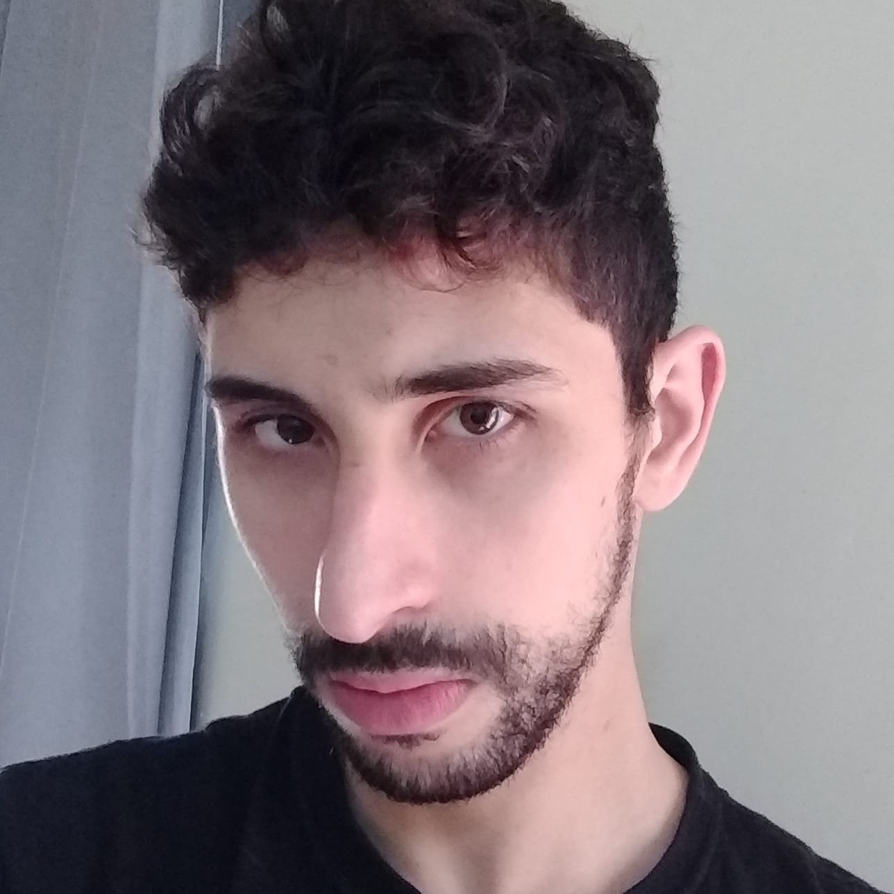 schwinn stingray stranger things