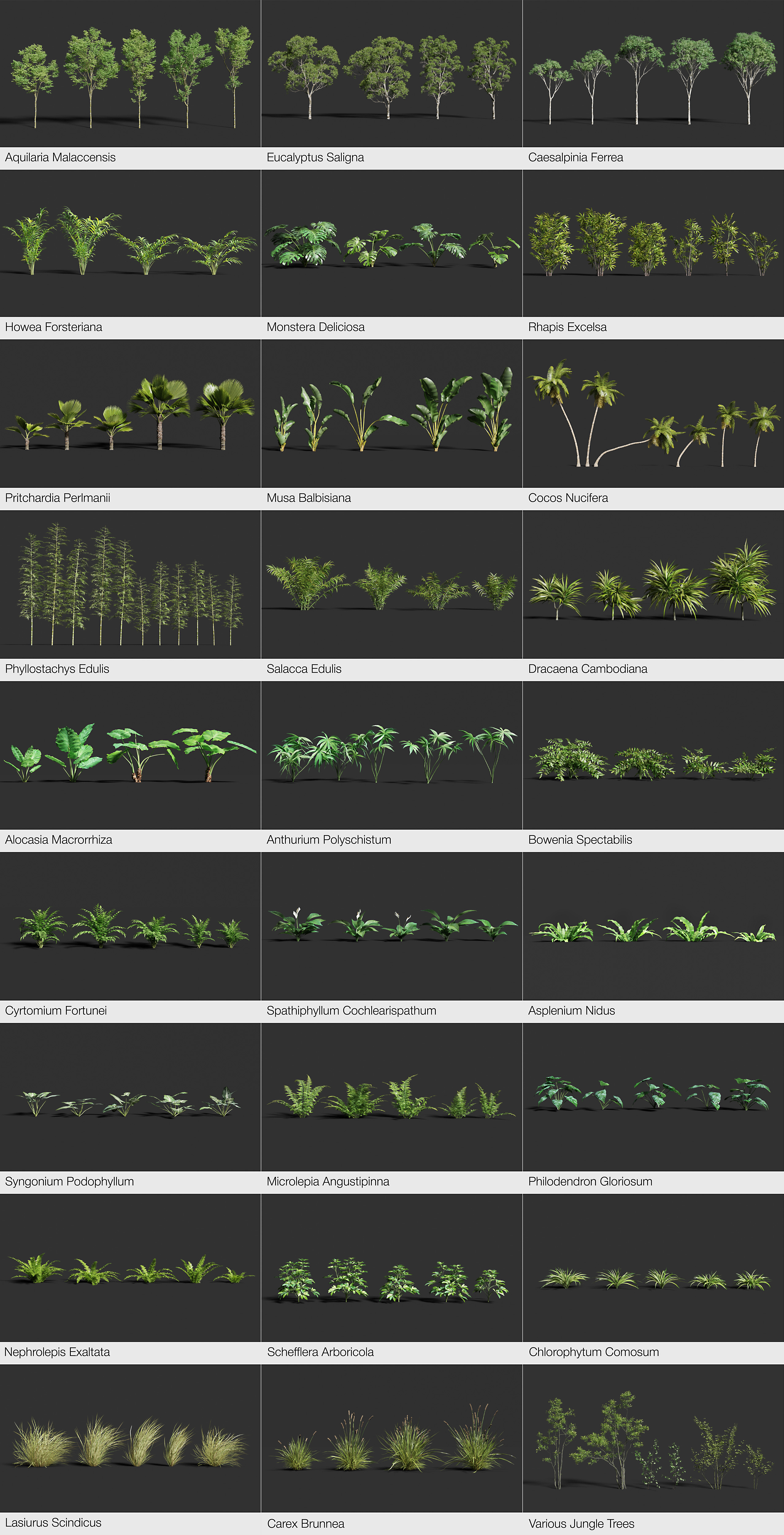 Jungle Scapes for Blender Blender Market
